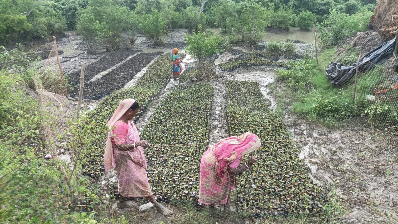 Indigenous Communities in Sundarbans